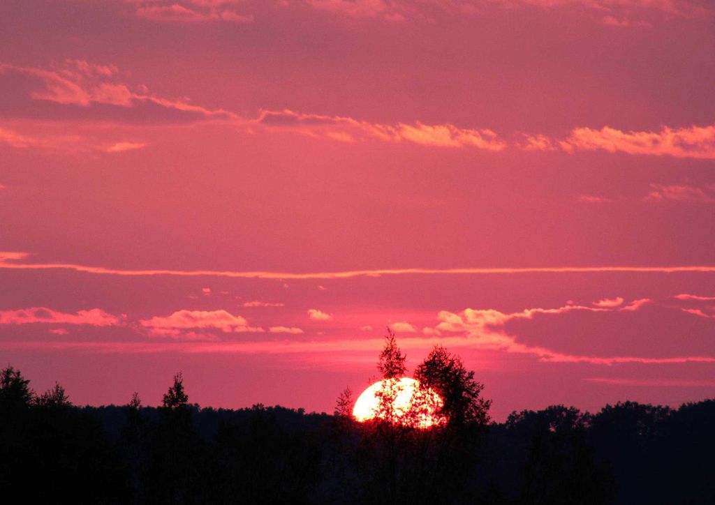 hansepuzzle 15500 - Sonne über Kalifornien Puzzle, 260 Teile, Orte, 41,0 x 28,0cm mit hochwertiger Aufbewahrung, Kartonbox & Beutel