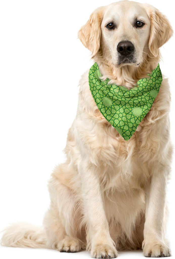 ABAKUHAUS Modern Haustier Bandana, Sterne Geometrische Formen, 40x40 cm, Lime Green
