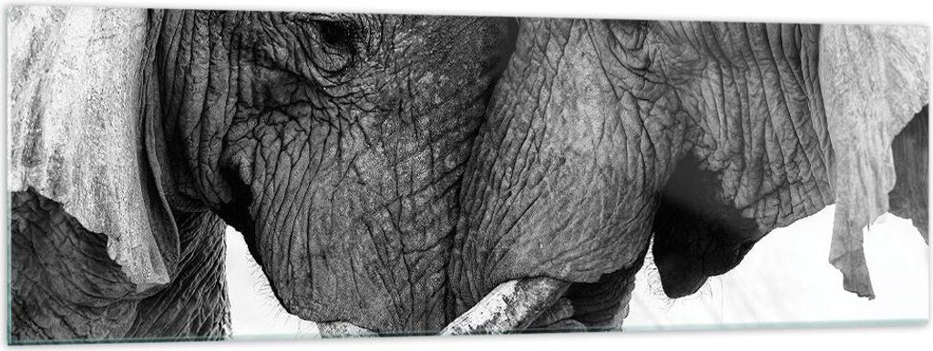 Bilder auf glas - Einteilig - Elefanten Safari Bond - 160x50cm - Glasbilder - Wandbilder - Bilder - zum Aufhängen bereit - Wanddekoration aus Glas...