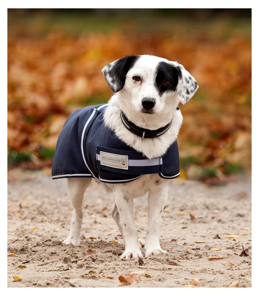 Hundedecke, 200 g, 65 cm, blau