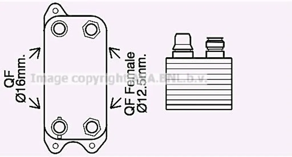 Radiateur d'huile PRASCO MS3686 OE 0995001100 pour Mercedes Classe C E
