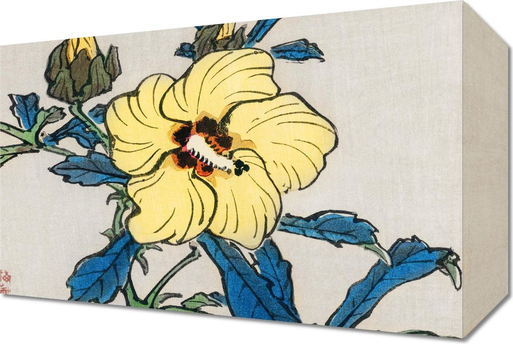 Bild 30x20cm Hibiskus, Kōno Bairei Japanisches Vintage für das Wohnzimmer