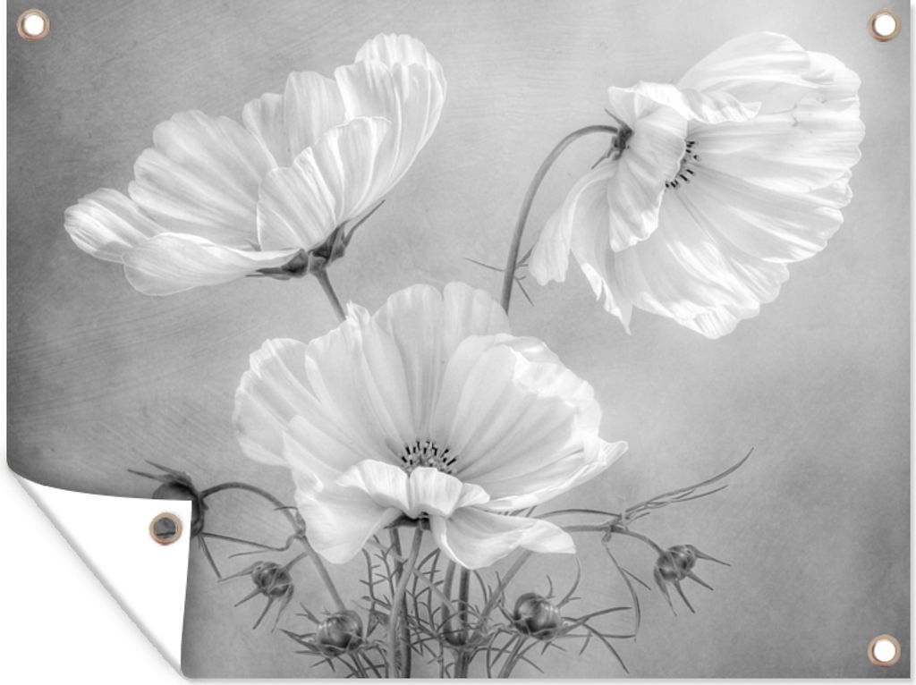 MuchoWow 40x30 cm Outdoor-Poster Gartendeko Sichtschutz Garten Poster für den Garten Blumen - Stillleben - Aquarell