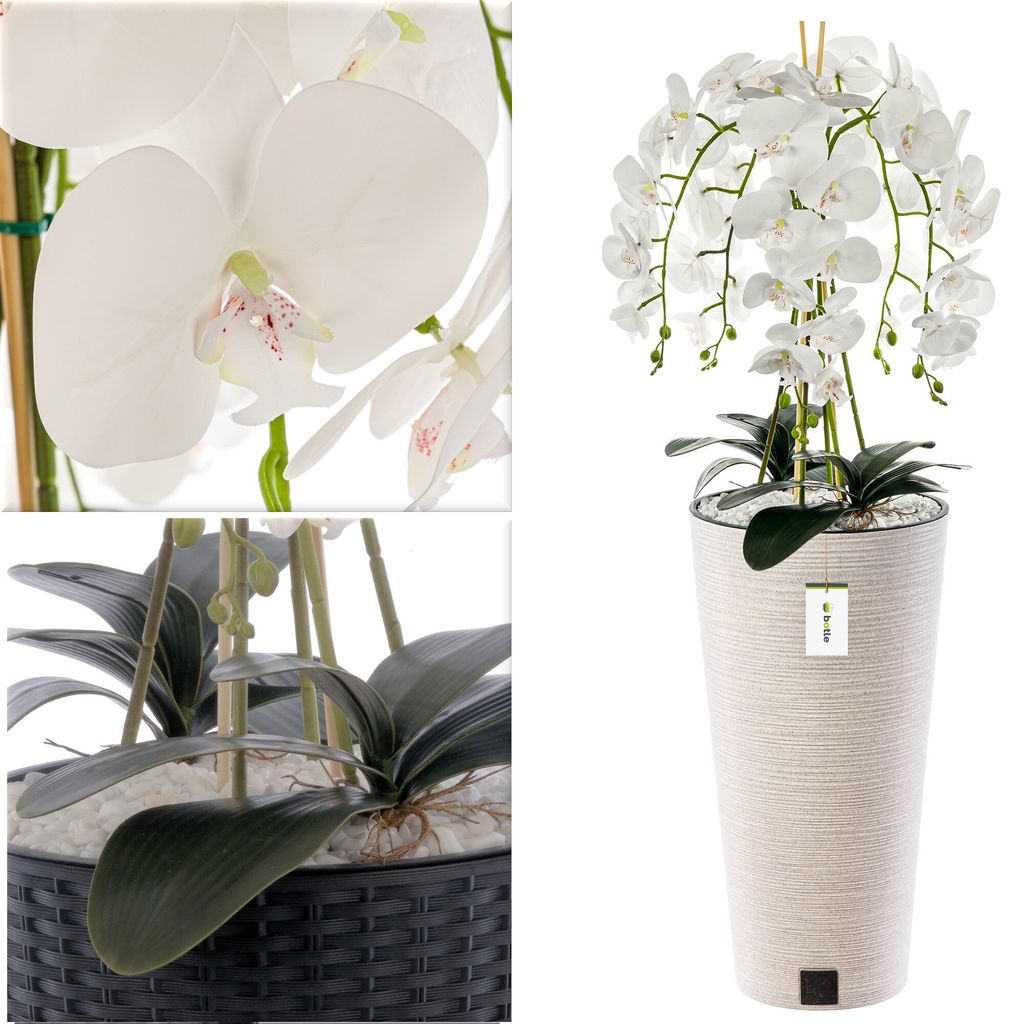 künstliche blase kosten UraVia® intens – Blase & Harnwege – FORTĒA® main image 1