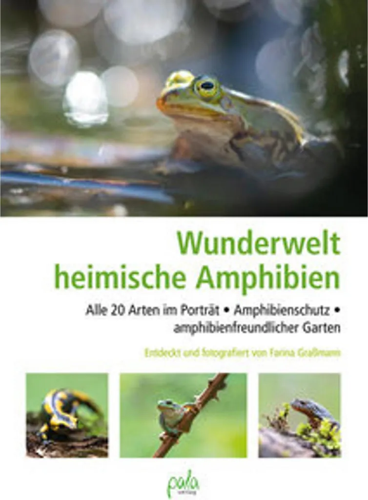 Livre éducatif Amphibiens Wunderwelt pour initier les enfants