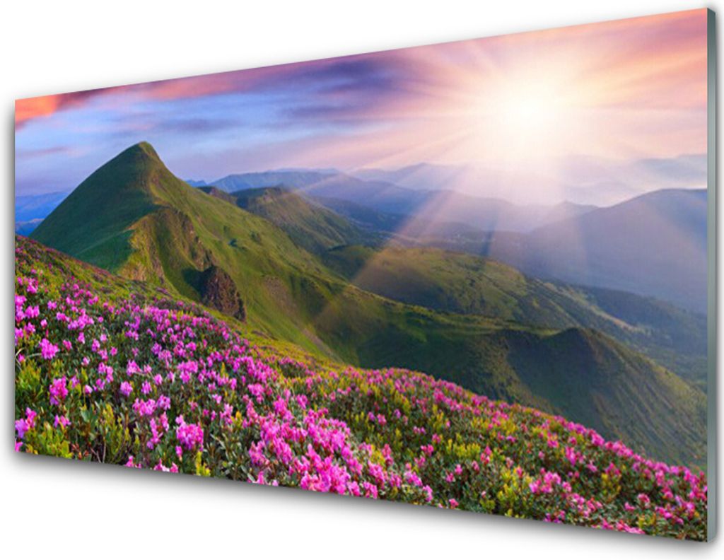 Acrylglasbilder 100x50 Wandbild Druck Gebirge Wiese Blumen Landschaft