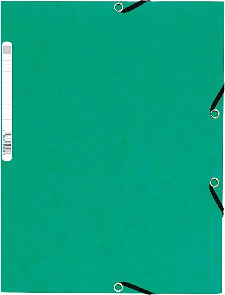 Exacompta 55303E Sammelmappe DIN A4 Grün Produktbild 