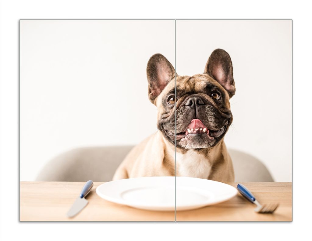 Wallario Herdabdeckplatte aus Glas, Größe 70 x 52 cm 2-teilig, Motiv Hund freut sich auf Essen