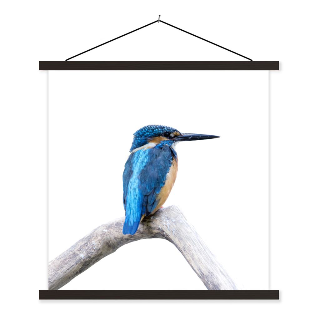 MuchoWow Textilposter Eisvogel - Zweig - Schnabel 60x60 cm mit schwarzem Rahmen - Posteraufhänger