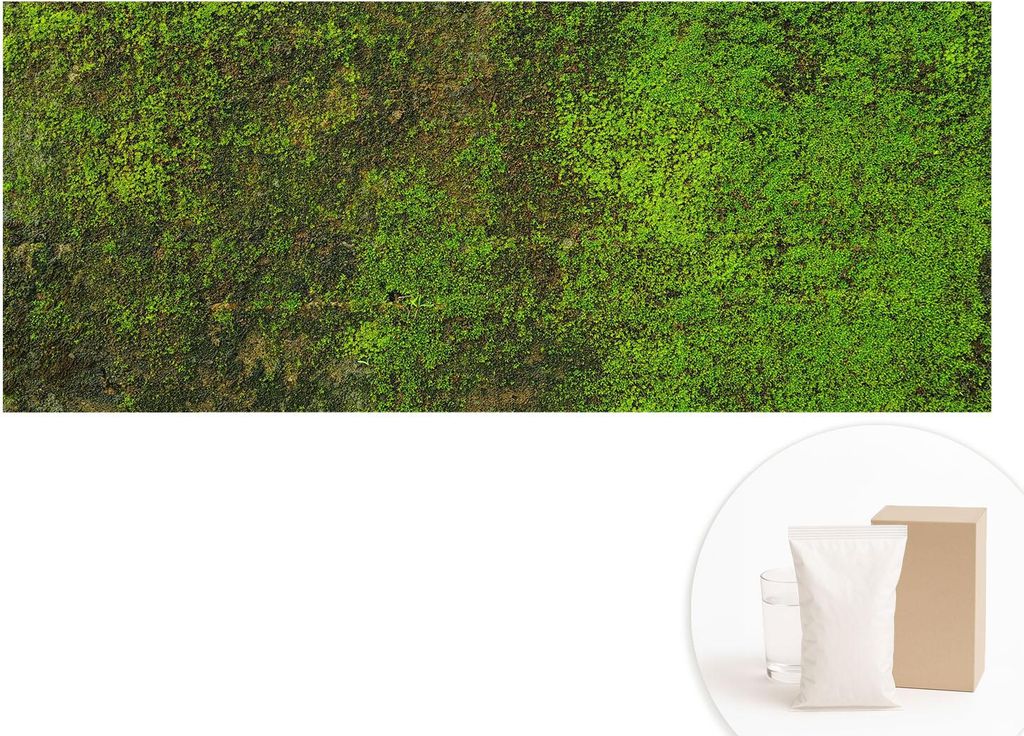 Fototapete - Wandbilder für Wohnzimmer - 208x146 cm - Dekorative Wandfolie - Modernes Design für Wanddekoration - Tapeten für Innenräume - Grü...