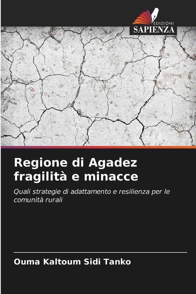 Regione di Agadez fragilità e minacce