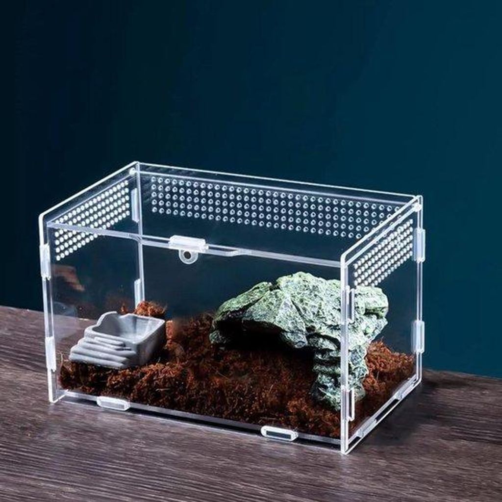 Reptilien-Futterbox aus Acryl - 20x12x12 cm