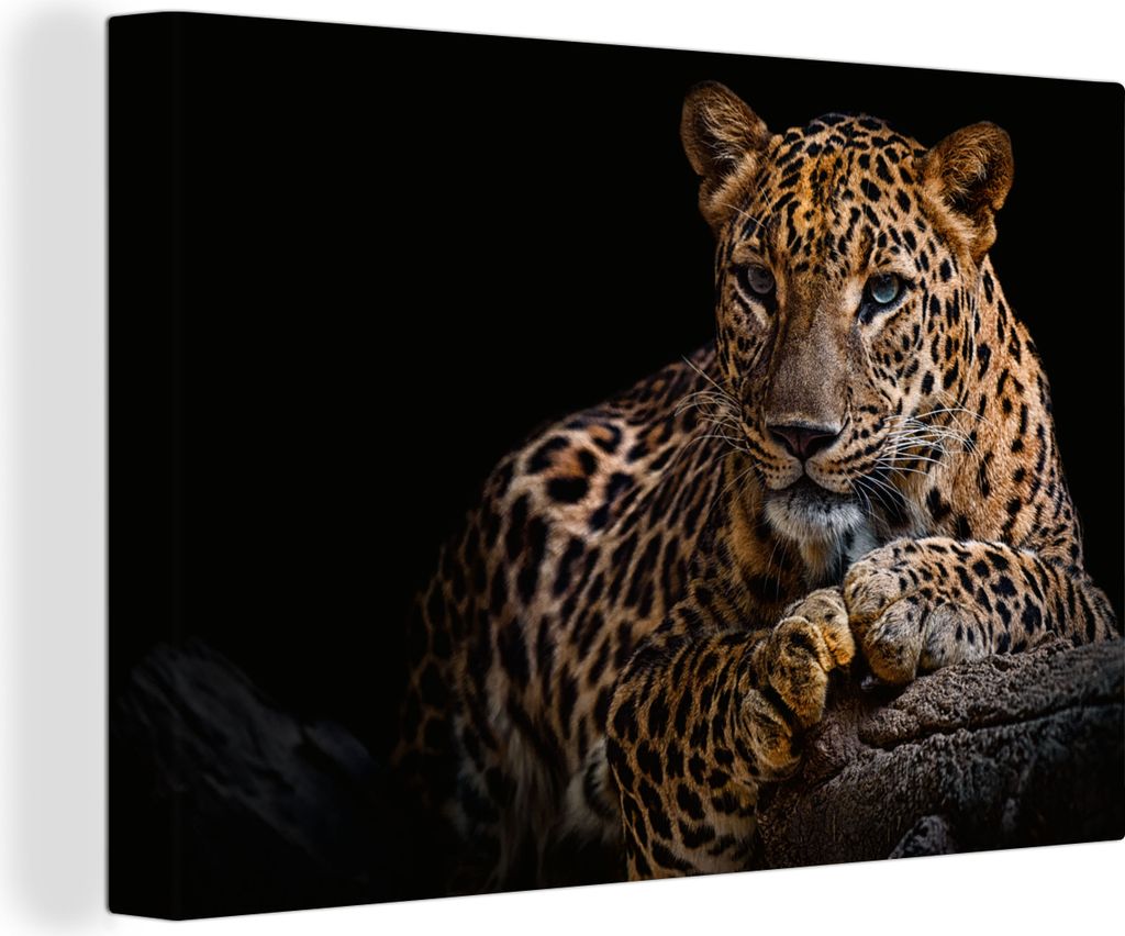 OneMillionCanvasses - Leinwandbilder - 140x90 cm, Wildtiere - Panther - Porträt - Schwarz - Tiere, Wandbilder Kunstdruck Wanddekoration - Foto a...