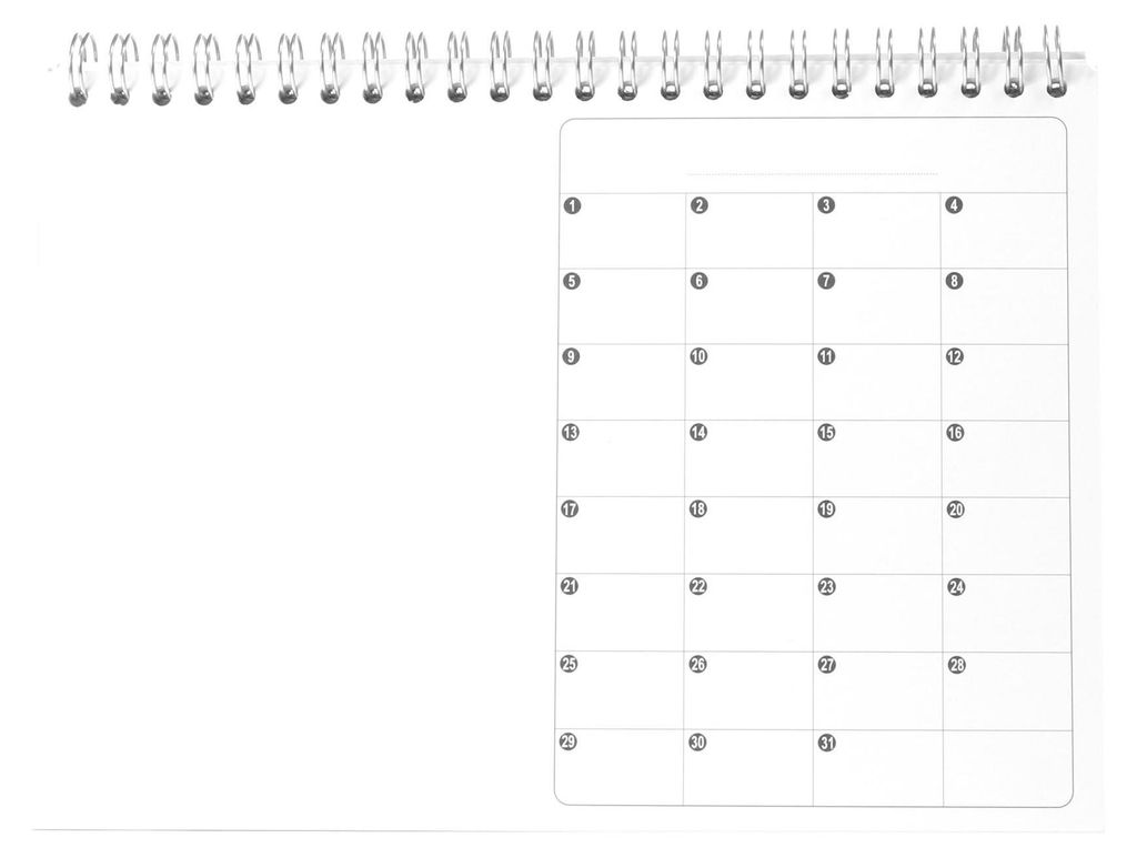 Maildor Ewiger Kalender 3609510950095