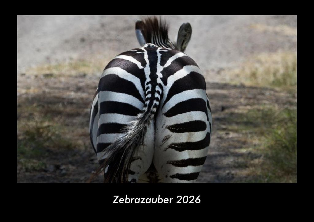 Zebrazauber 2026 Fotokalender - Querformat DIN A3, Monatskalender mit Bild-Motiven von Haustieren, Bauernhof, wilden Tieren und Raubtieren