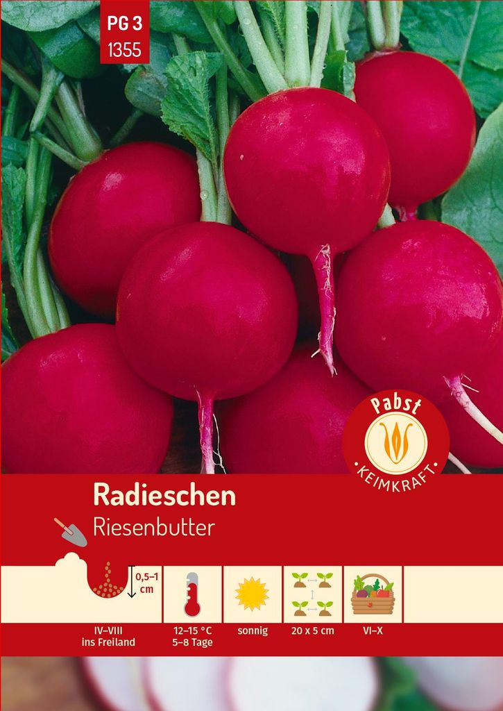 Artikelbild 1 von 'Radieschen Riesenbutter' aus der Kategorie Radieschensamen