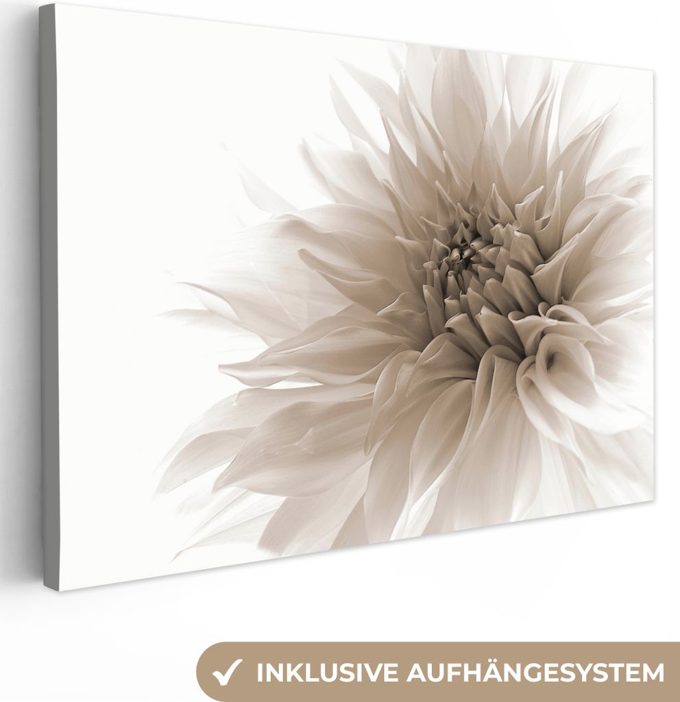 OneMillionCanvasses - Leinwandbilder - 140x90 cm, Blumen - Weiß - Natur - Botanisch, Wandbilder Kunstdruck Wanddekoration - Foto auf Leinwand - ...