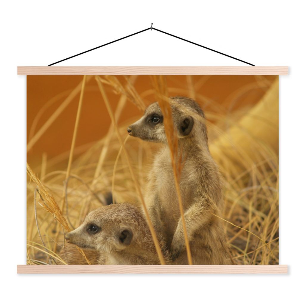 MuchoWow Textilposter Gras - Erdmännchen - Tiere 150x113 cm mit holzfarbenen Rahmen - Poster
