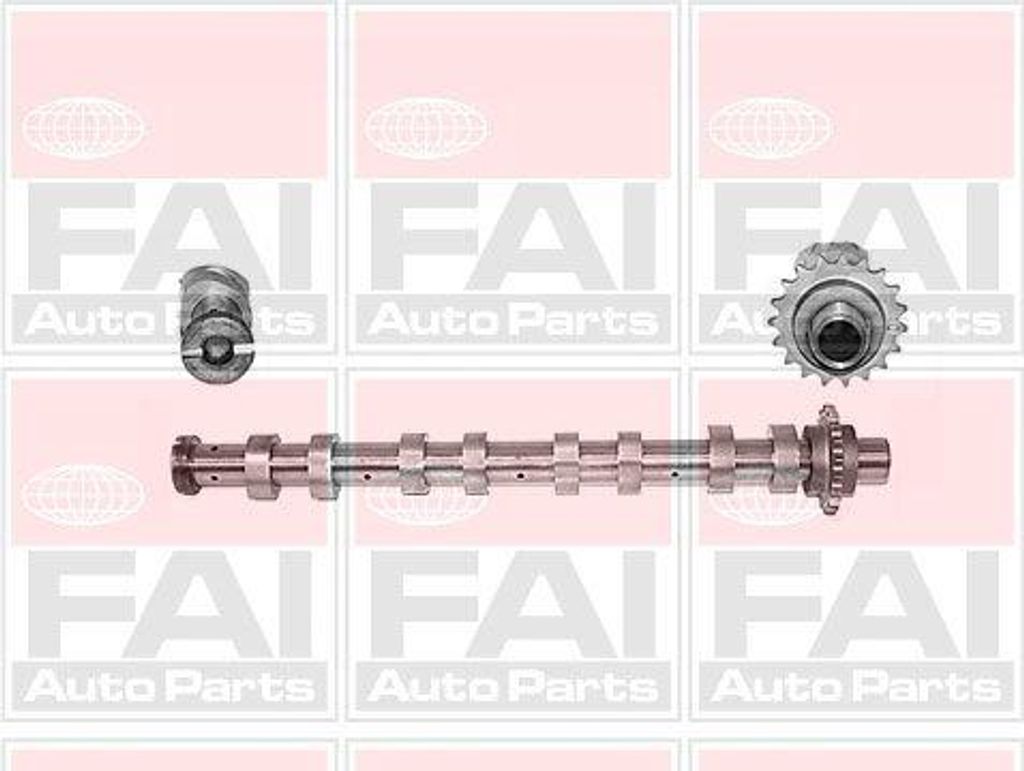 FAI AutoParts C267 Nockenwelle OE 0801EP kompatibel mit Berlingo, C2, C3, C4er, C4, C5, Jumpy, Xsara, Scudo, C-Max, Fiesta, Focus, Fusion, 3, Mini,...