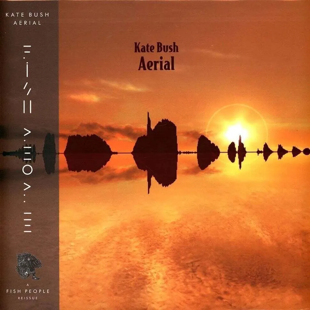 Vinyle Kate Bush Aerial Haute Fidélité 180g Édition Limitée Gold et Orange