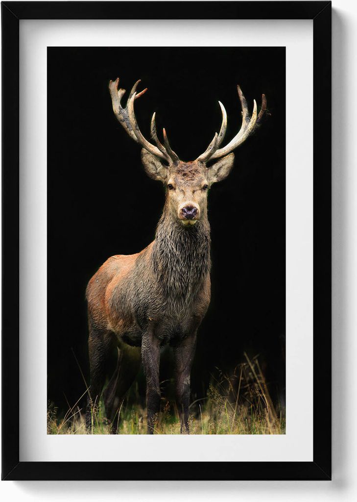 Hirsche auf schwarzem Hintergrund– Wandbild mit Rahmen – Gerahmtes Bild – Wanddekoration – 40x60 cm – Schwarz