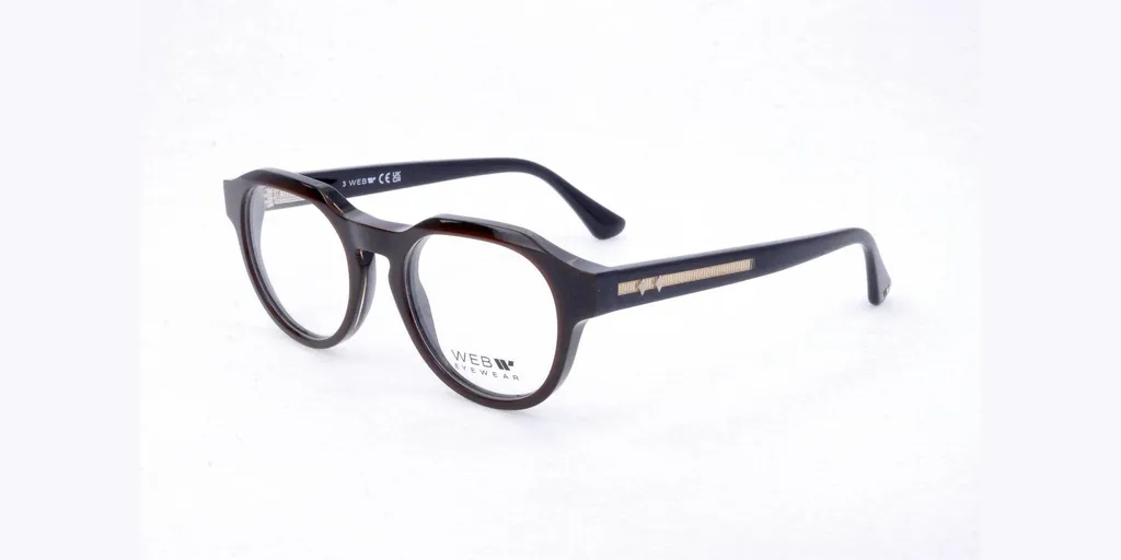 Lunettes Web Eyewear WE5421 : monture idéale pour le travail de bureau