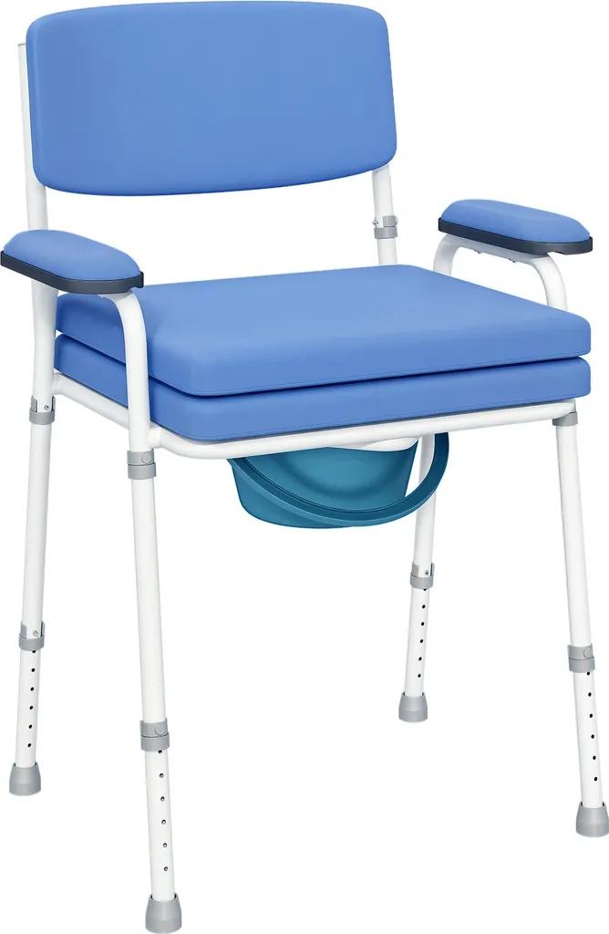 HOMCOM Chaise Percée Toilette 5 en 1 Réglable avec Assise Rembourrée Bleue