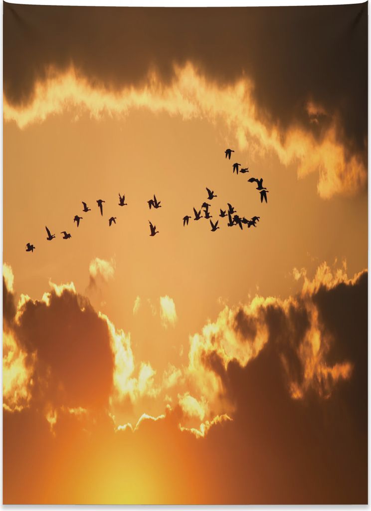 Abakuhaus Vogel Wandteppich, Fliegen bei Sonnenuntergang Freiheit aus Weiches Mikrofaser Stoff Kein Verblassen Klare Farben Waschbar, 110 x 150 cm,...