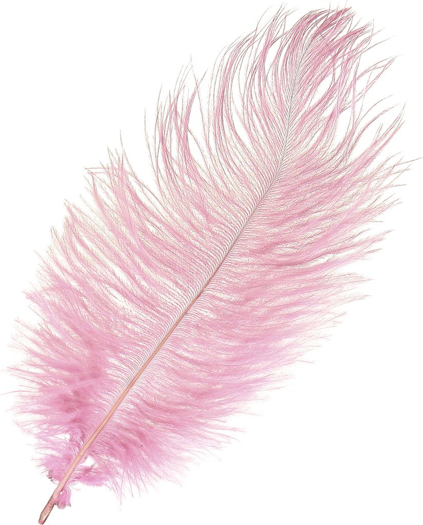 Straußenfedern Rosa Deko 20-25cm 12 Stück Echte Federn Hochzeit Basteln