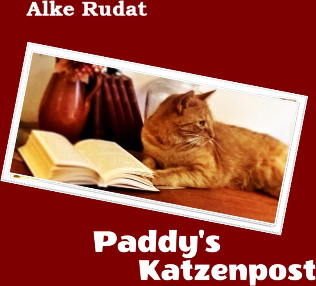 Paddy's Katzenpost