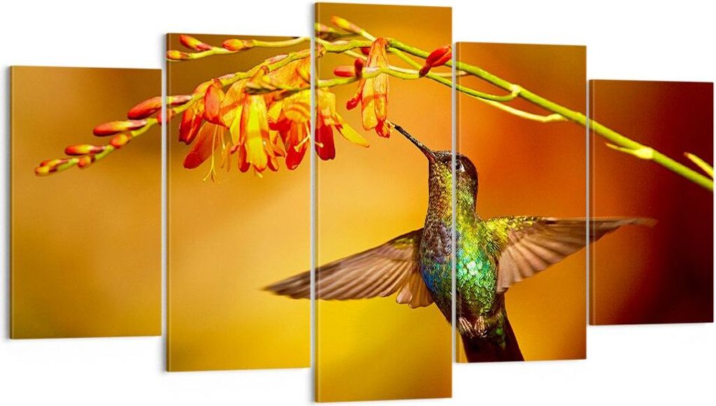 Bild auf Leinwand - Leinwandbild - Kolibri Vogel Sommer - 160x85cm - Wand Bild - Wanddeko - Leinwanddruck - Bilder - Kunstdruck - Wanddekoration - ...