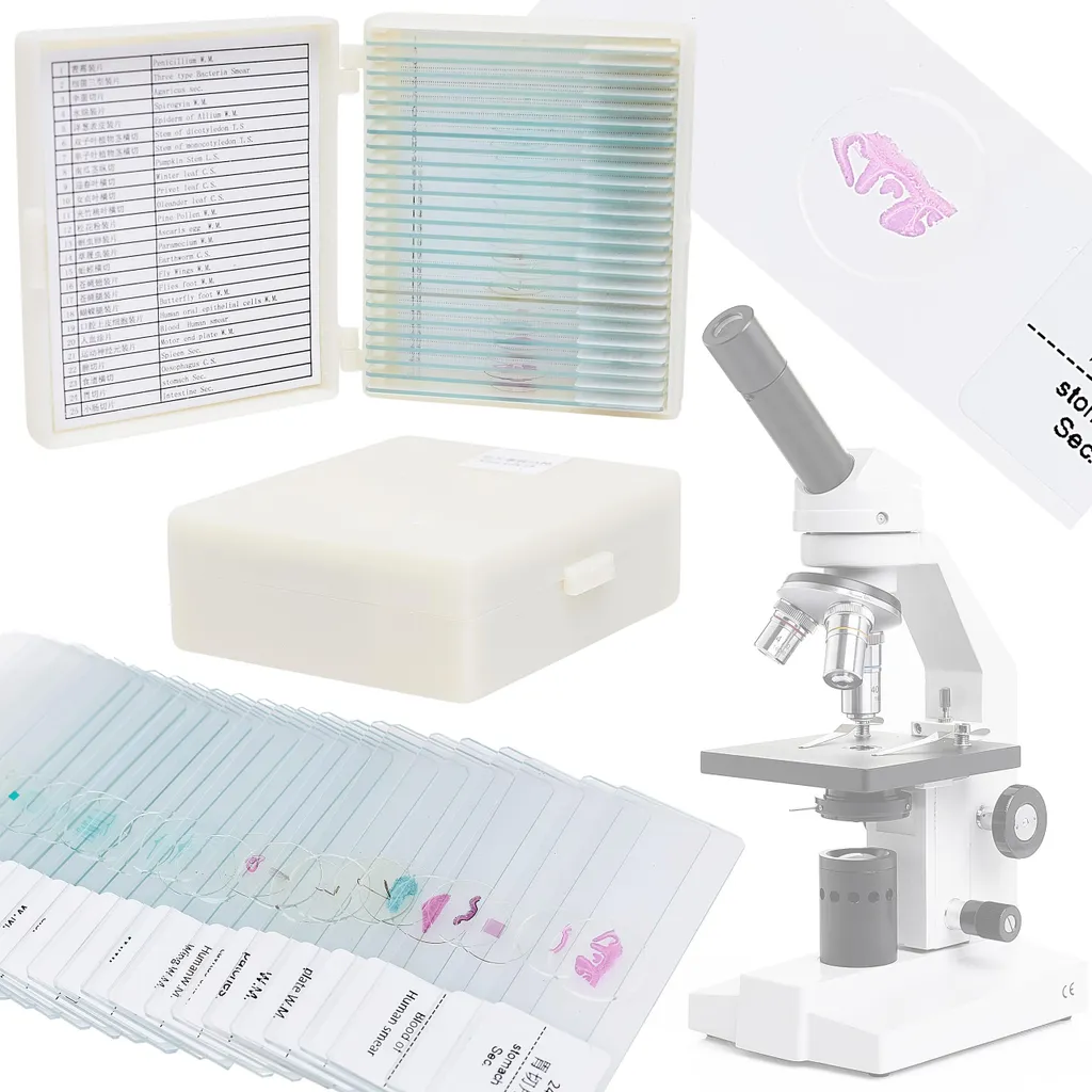 Lames microscopiques préparées - Collection de 25 spécimens variés