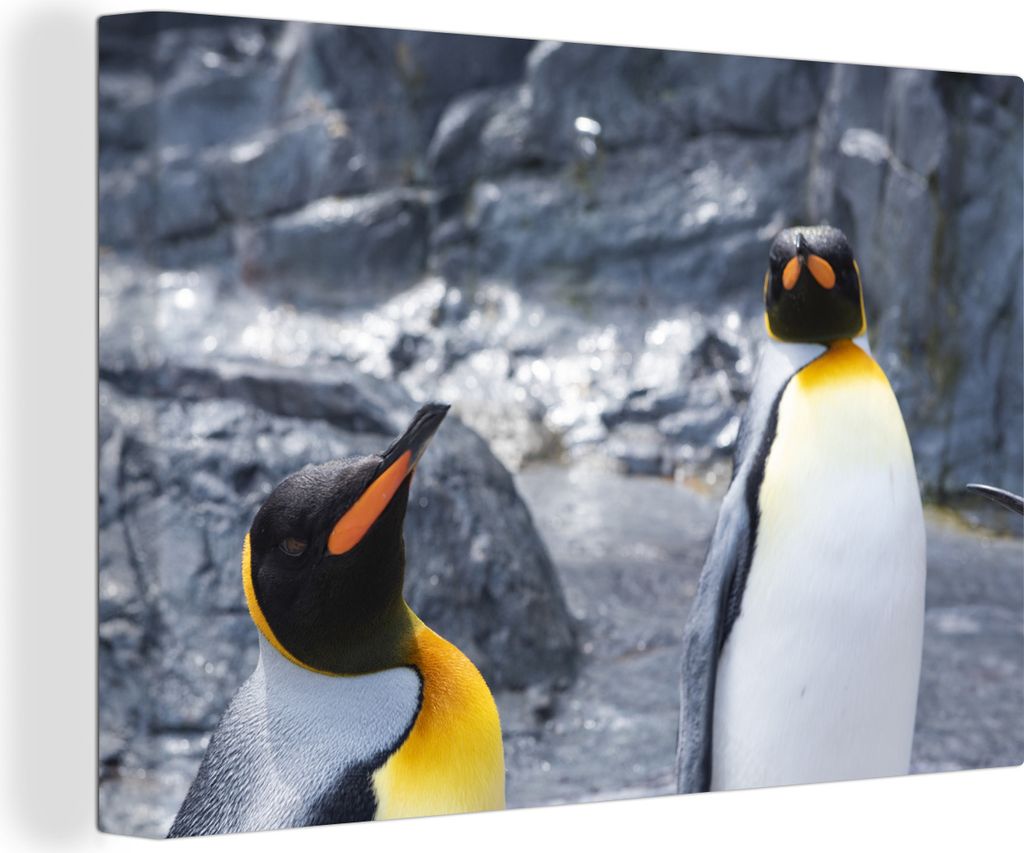 OneMillionCanvasses - Leinwandbilder - 140x90 cm, Zwei Pinguine in einem felsigen Gebiet, Wandbilder Kunstdruck Wanddekoration