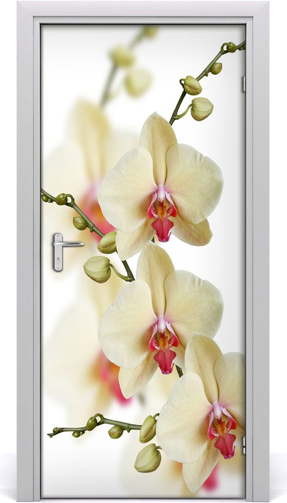 Tulup Türaufkleber 95x205 cm Dekorative Aufkleber Selbstklebend Wasserdichte Tapete Abnehmbar Schlafzimmer Wohnzimmer Wohnkultur - Orchidee Wand