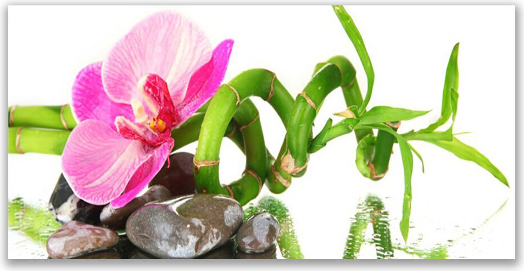 Küchenrückwand aus Glas 140x70cm Spritzschutz Blume Pflanzen