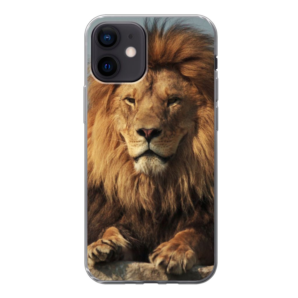 MuchoWow Handyhülle Schutzhülle Hülle für iPhone 12 Löwe - Felsen - Porträt Silikon Softcase Handy Hülle - Schutzhülle