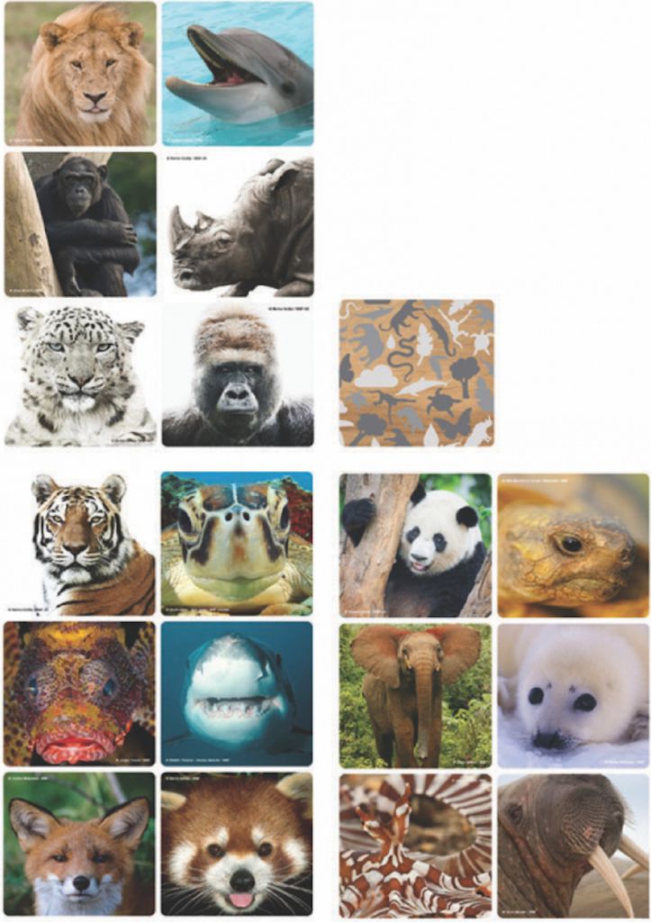 WWF Memo-Spiel "Selfies" 36 Teile Elefanten Pandas Tiger Produktbild 