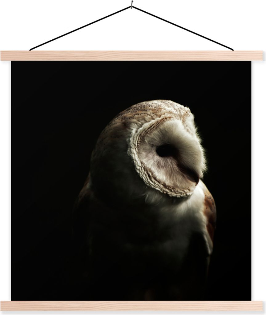 MuchoWow Textilposter Eule - Vogel - Porträt 40x40 cm mit holzfarbenen Rahmen - Posterleiste