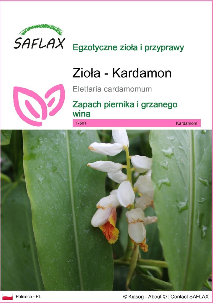 SAFLAX - Zioła - Kardamon - 20 Nasiona - Elettaria Zdjęcie produktu 
