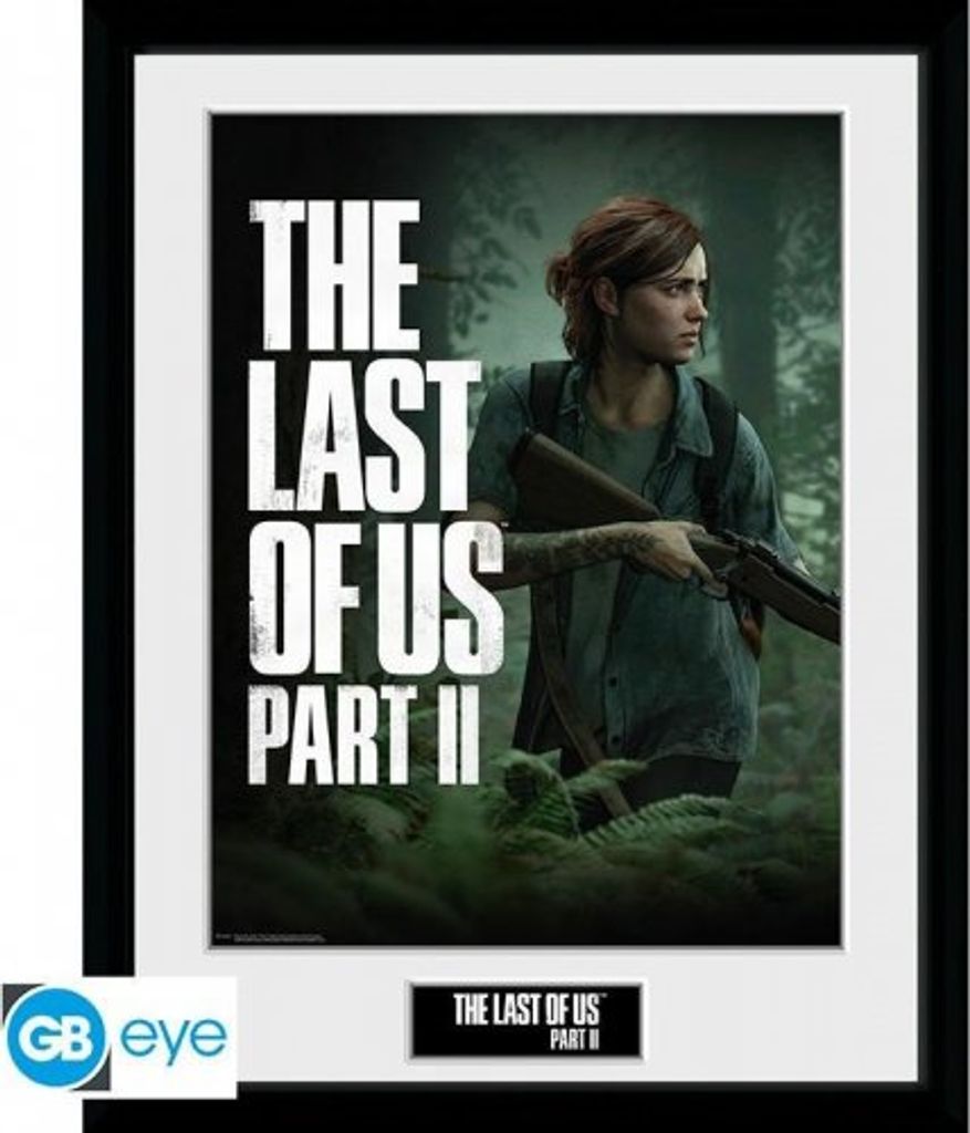 The Last of Us Zarámovaný plakát - Ellie Obrázek produktu 