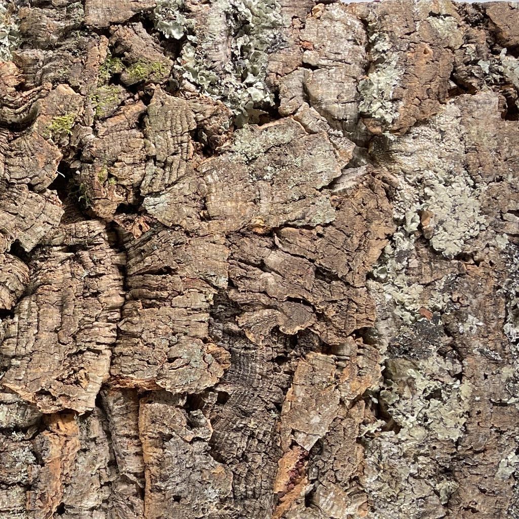 EKB-Kork, Wandkork, Zierrückwand Kamari XXL, 900 x 600 x Produktbild 