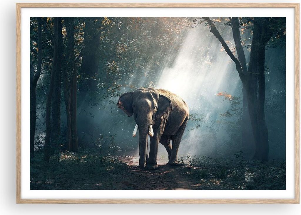 Gerahmtes Poster - Rahmen in heller Eiche - elefant natur - 100x70 cm - Wand Bild - Wanddeko - Wandbilder - Kunstposter - Wandposter - Bilderrahmen...