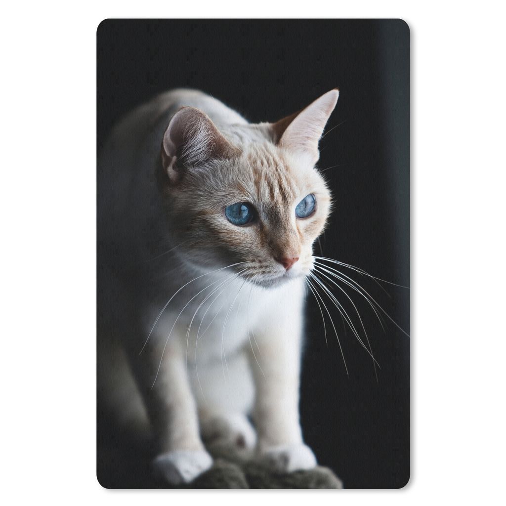 MuchoWow Mauspad Mousepad Katze mit leuchtenden Augen 18x27 cm - Mousepads - Maus Mat - Pad - Mausunterlage