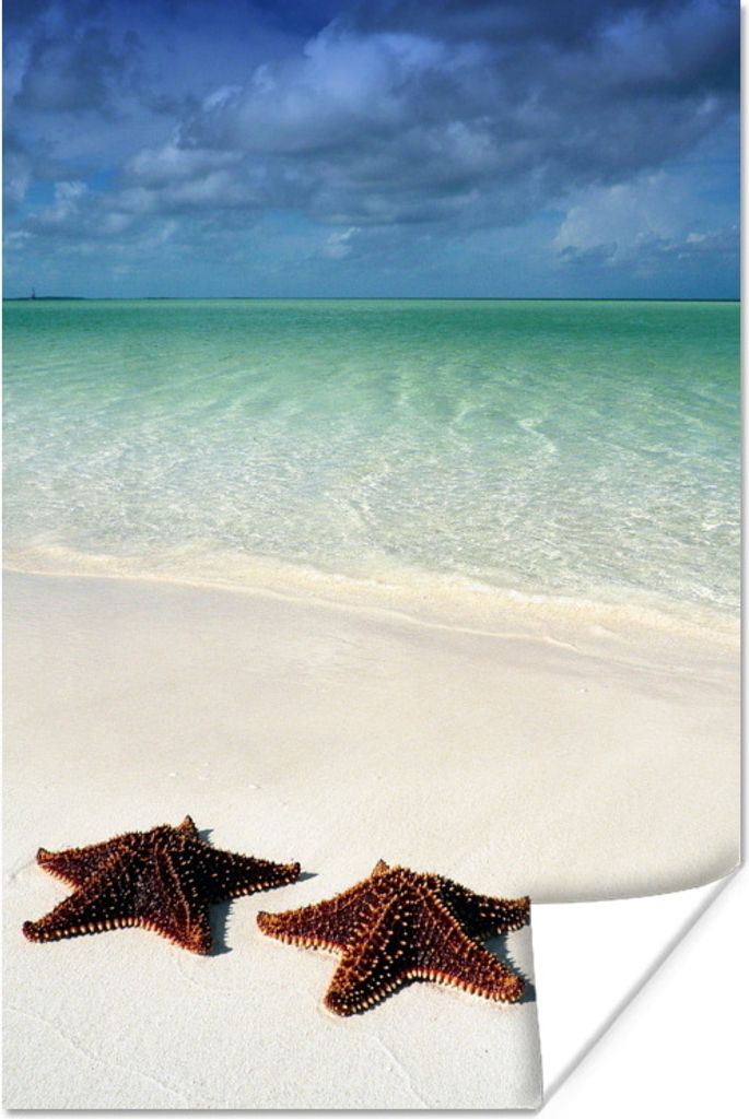 MuchoWow Poster Seestern - Strand - Wasser 40x60 cm - Plakate für die Wand - Poster Babyzimmer