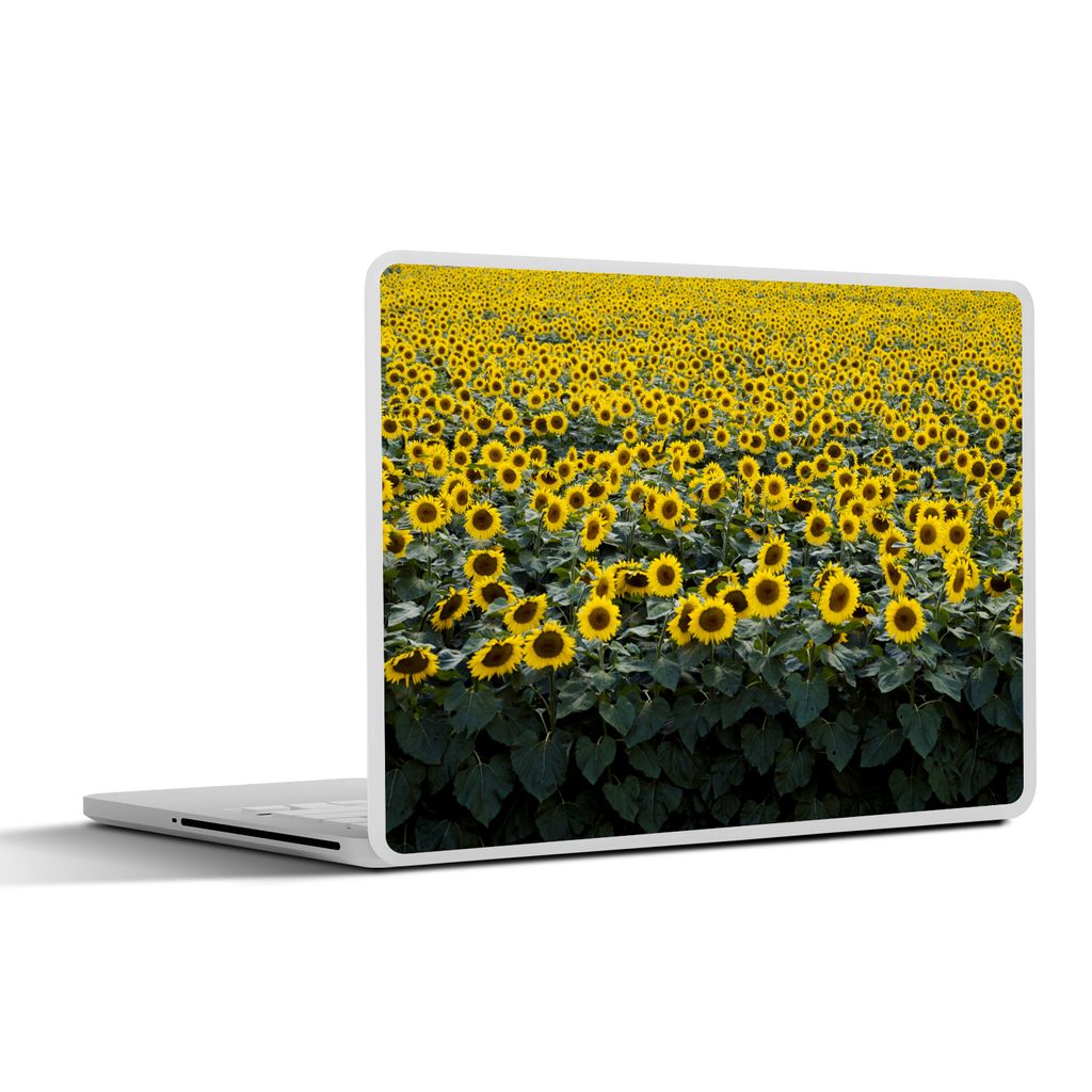 MuchoWow Laptop Aufkleber Sticker Cover Blumen - Sonnenblume - Feld 40x30 cm - Laptop Dekoration - Selbstklebend