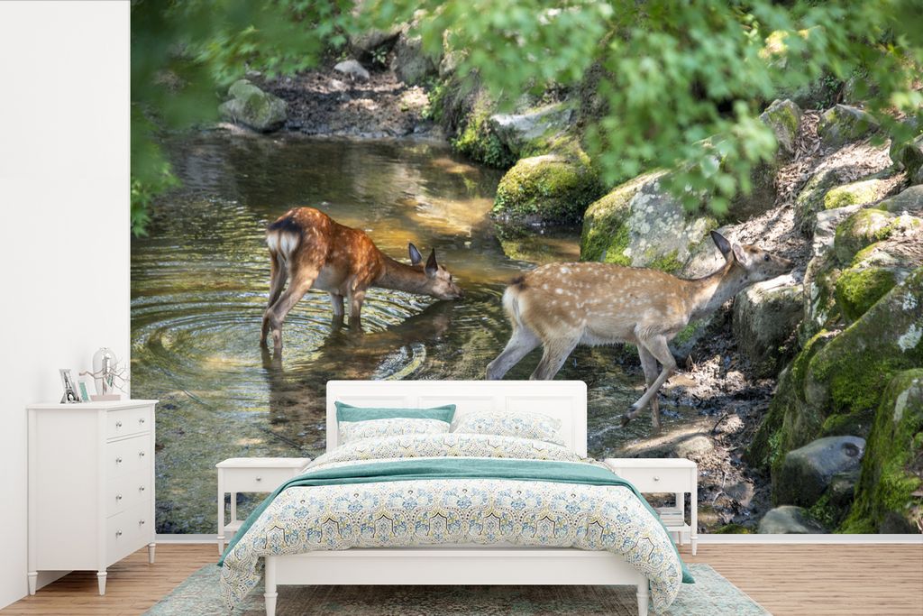 MuchoWow Fototapete für Wohnzimmer oder Schlafzimmer Wandtapete Vinyl Motivtapete Hirsche - Wasser - Moos - 360x240 cm - Vinyl-Tapete
