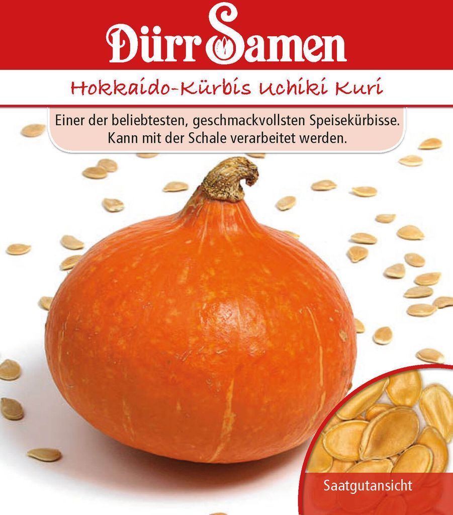 Hokkaido-Kürbis Uchiki Kuri | Hokkaido-Kürbissamen von Dürr Produktbild 