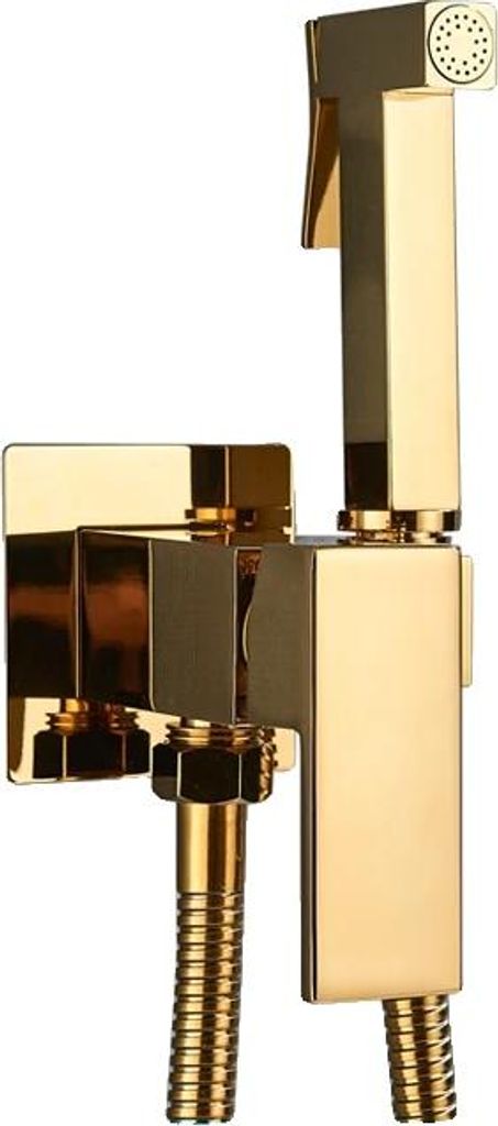 Bidetarmatur, Messingkonstruktion, Wandmontage-Design, Glänzendes Gold A