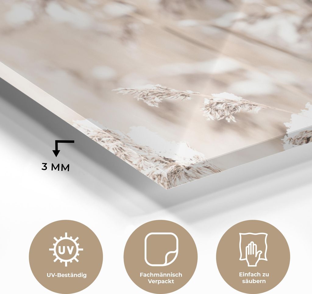 MuchoWow Glasbilder - Bilder auf Wandbild - Foto auf Glas Winter - Pflanzen - Schnee - Natur - Jahreszeiten 30x20 cm Wanddekoration aus Glas - Acry...