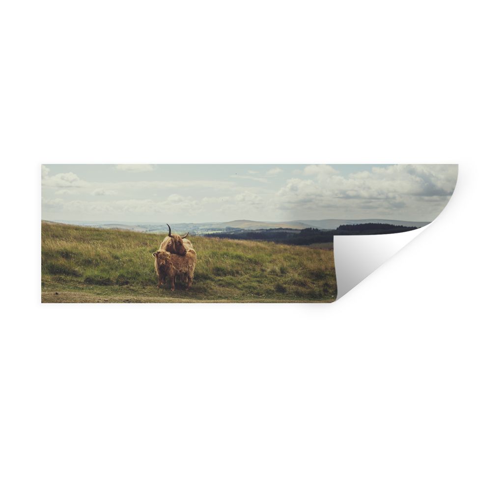 MuchoWow Wandtattoo Wandsticker Wandaufkleber Schottische Highlander - Gras - Wolken - Tiere 150x50 cm Selbstklebend und Repositionierbar - Repos...
